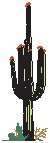 Cactus.eps