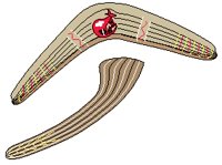 Boomerang.eps