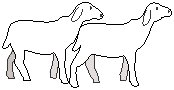 Background 076.eps