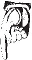 Finger Pointing 27.eps
