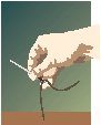 Needle.eps