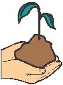 Seedling.eps