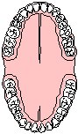 Teeth.eps