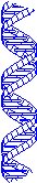 DNA Molecule.eps