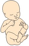 Infant 1.eps