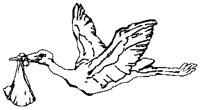Stork Flying.eps