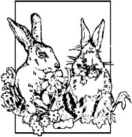 Bunnies in the Wild.eps