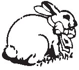 Bunny 6.eps