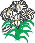 Easter Lily.eps
