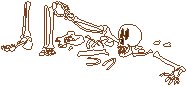 Skeleton - Broken.eps