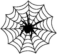 Spider Web.eps