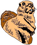 Ground Hog.eps