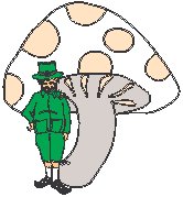 Leprechaun 4.eps