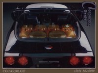 CGCAR001.GIF