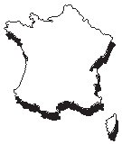 France 4.eps