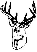 Deer Head.eps