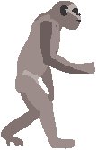 Evolution 2.eps