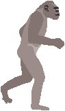 Evolution 4.eps