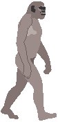 Evolution 6.eps