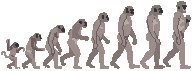 Evolutionary Chain.eps