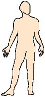 Body.eps