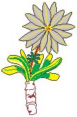 Bitterroot.eps