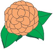 Camellia.eps