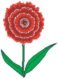 Carnation.eps