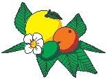 Citrus.eps