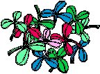 Clover Group.eps