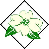 Dogwood 1.eps