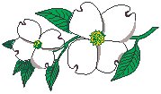 Dogwood 2.eps