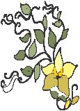 Flower 08.eps