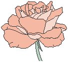 Flower 10.eps