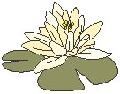 Flower 11.eps