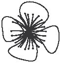 Flower 13.eps
