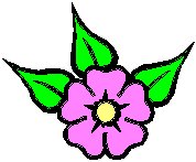 Flower 16.eps