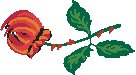 Flower 22.eps