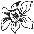 Flower 28.eps