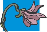 Flower 40.eps