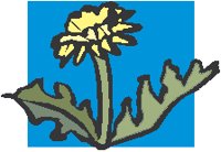 Flower 42.eps