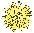 Flower 46.eps