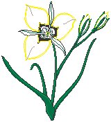 Flower 47.eps
