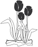 Flowers 03.eps