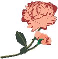 Flowers 08.eps
