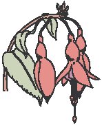 Flowers 09.eps