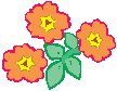 Flowers 10.eps