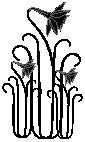 Flowers 18.eps