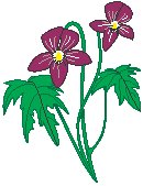 Flowers 19.eps