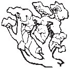 Flowers 23.eps